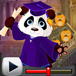 G4K Graduate Panda Escape Game Walkthrough